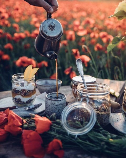 Чай на природе