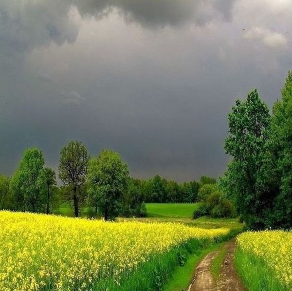 Море солнце пляж