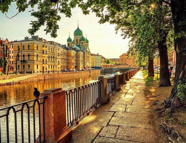 Летнее утро в Петербурге