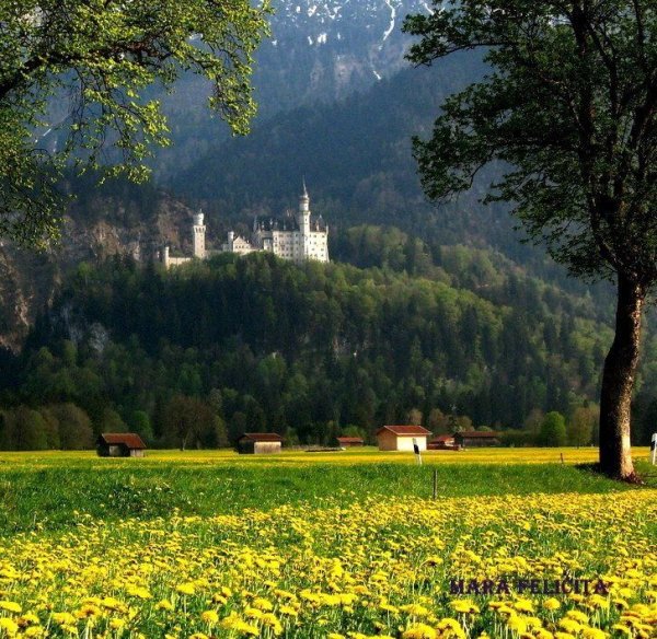 Флора Германии