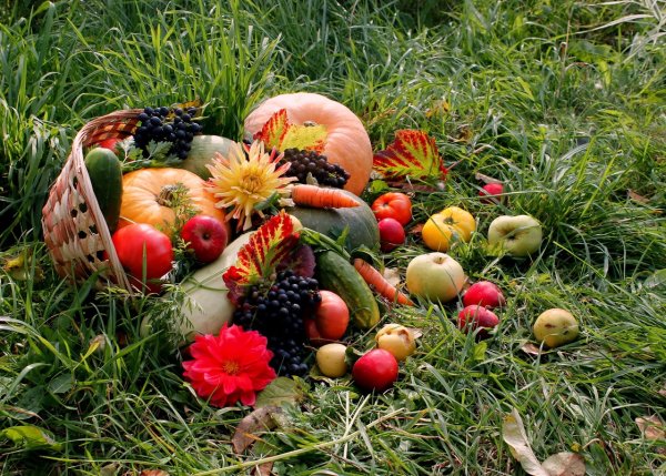 Лето август