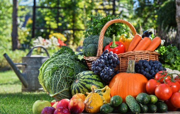 Осень овощи и фрукты