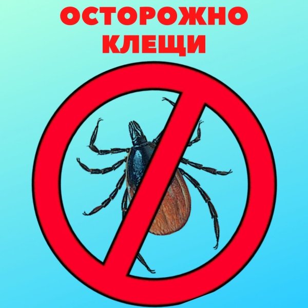 Осторожно клещи