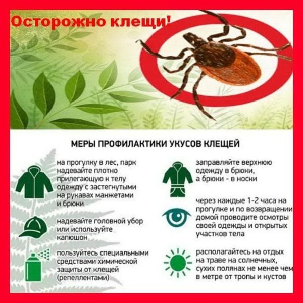 Осторожно клещи для детей