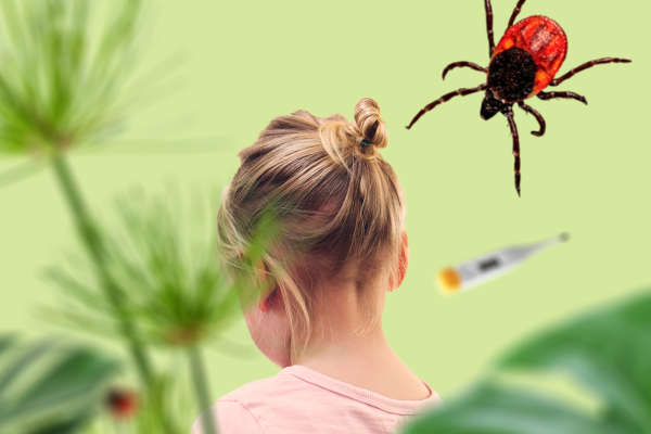 Клещевой энцефалит консультация для родителей в ДОУ