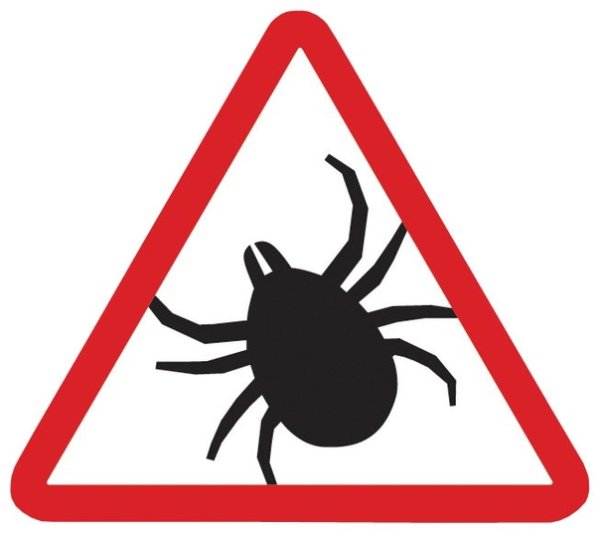 Памятка осторожно клещевой энцефалит