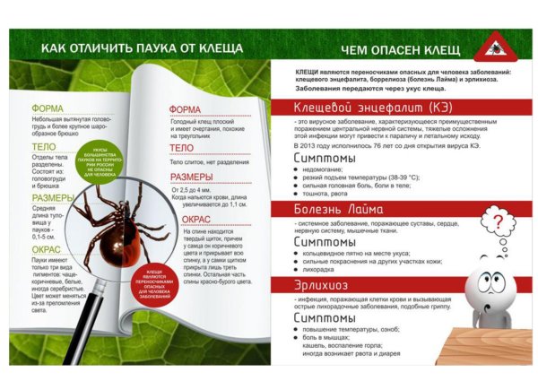 Как защититься от клещей памятка