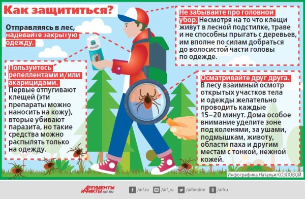 Энцефалитный клещ профилактика