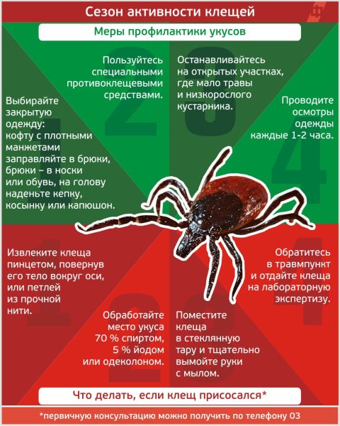 Осторожно клещи памятка