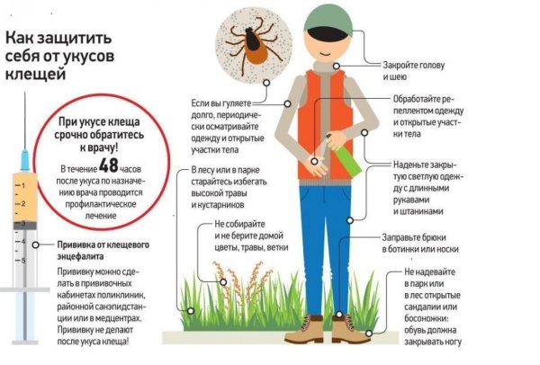 Клещевой энцефалит буклет для населения