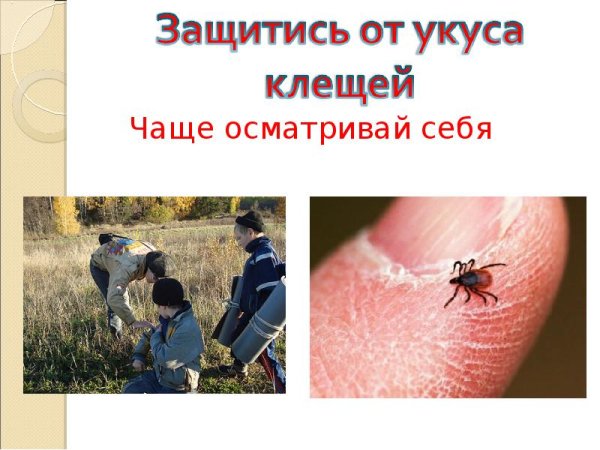 Профилактика клещевого энцефалита