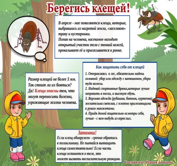 Профилактика клещевого энцефалита памятка Роспотребнадзор