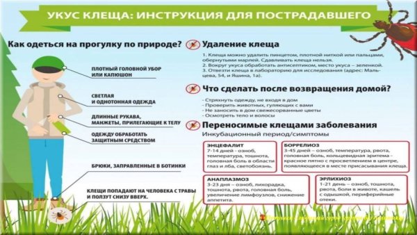 Знак территория обработана от клещей