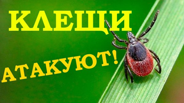 Памятка отдыхающим на природе