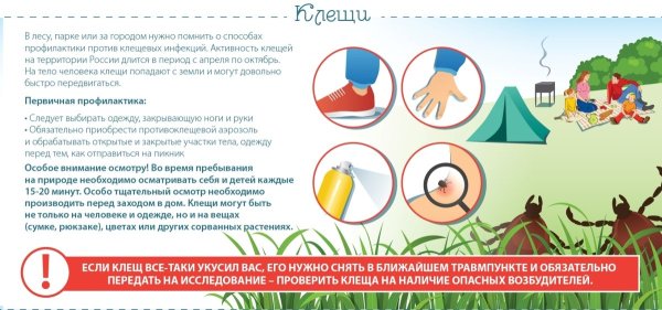 Осторожно клещей