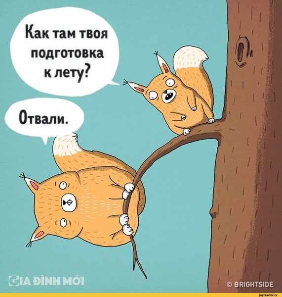 Готовимся к лету юмор