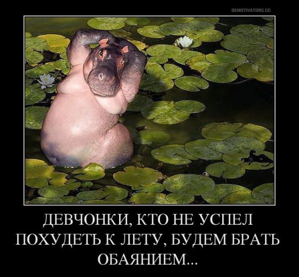 Лето пора худеть