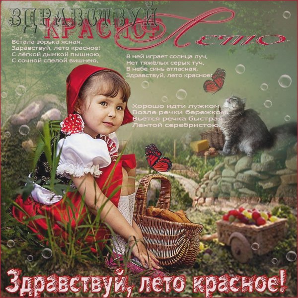 Здравствуй лето красное