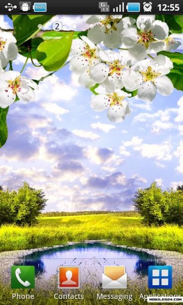 Лето природа цветы