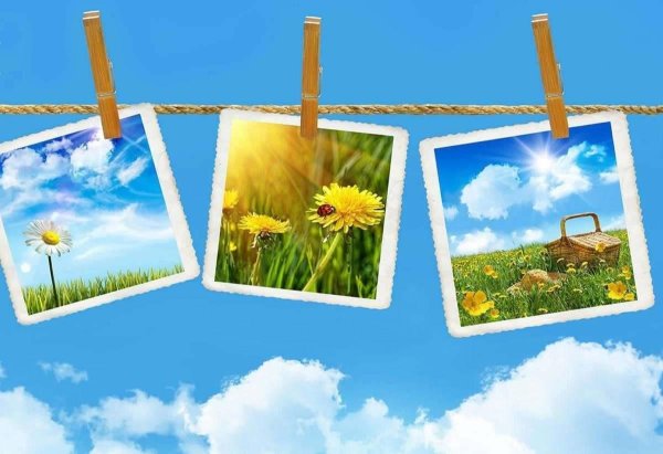 Летний пейзаж для детей