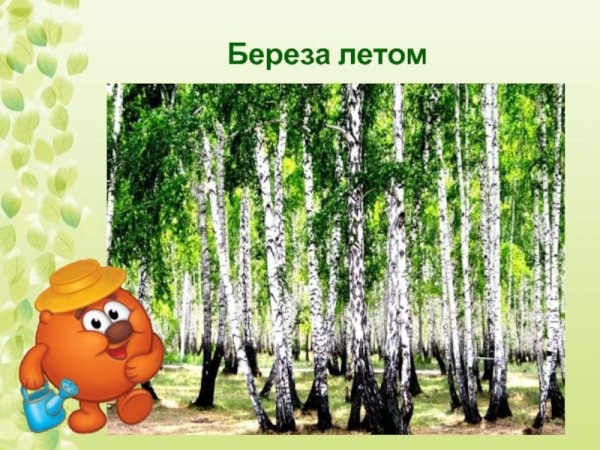 Мультфильм про березу для детей