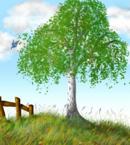 Березы мультяшные