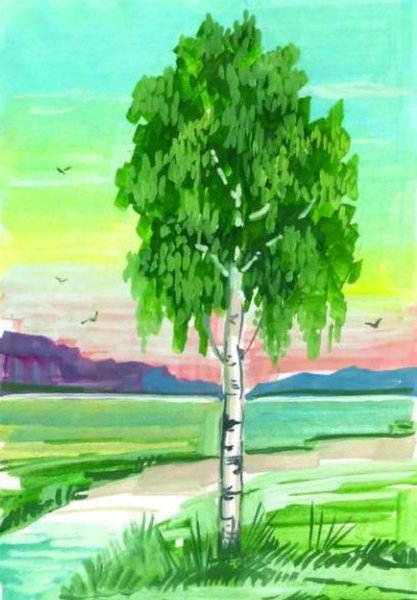 Береза рисунок