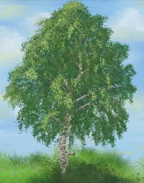 Нетрадиционное рисование березы
