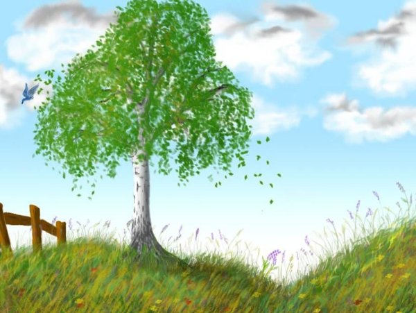 Фон Березка для детей