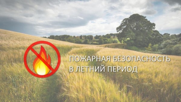 Правило пожарной безопасности летом