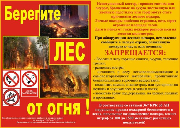 Пожарная безопасность в лесу