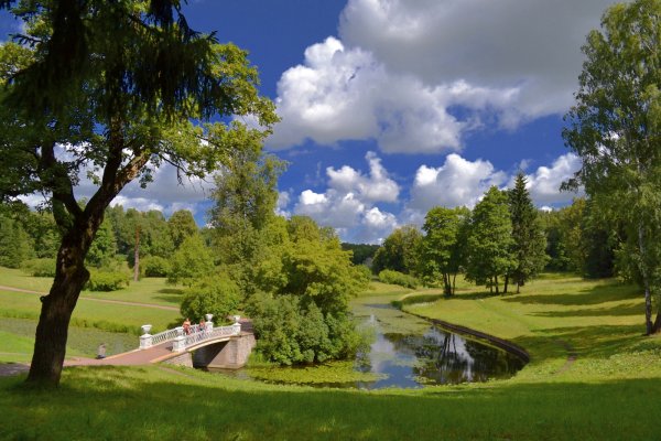 Природа Павловский парк летом