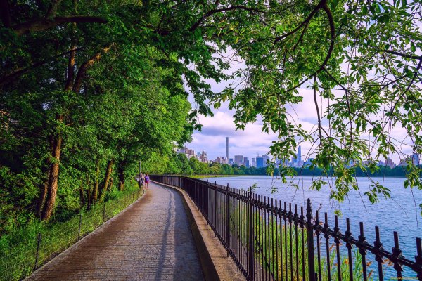 Природа в городе