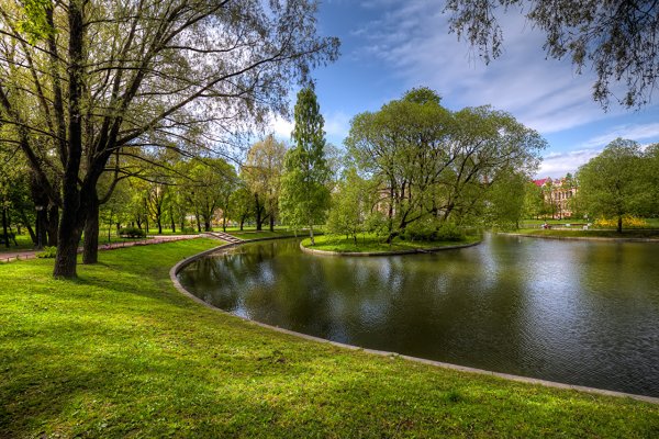 Центральный парк Нью-Йорка газон