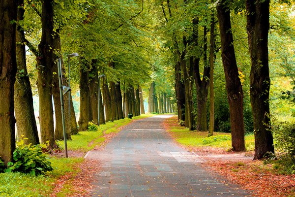 Панорама природа