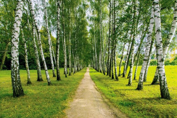 Фёдор Лашков фотограф река