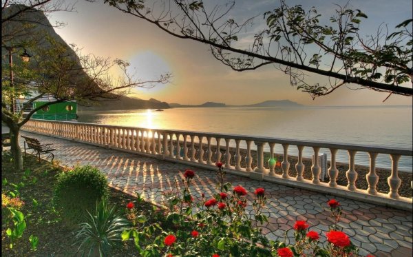 Швеция Луга