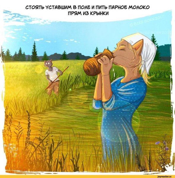 Приколы про лето в картинках