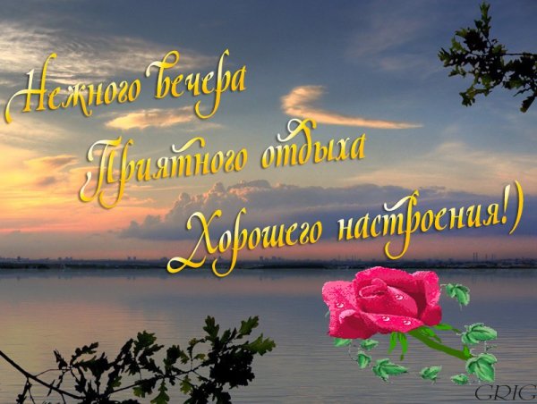 Прекрасного летнего вечера и хорошего настроения