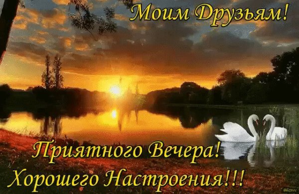 Хорошего летнего вечера и отличного настроения