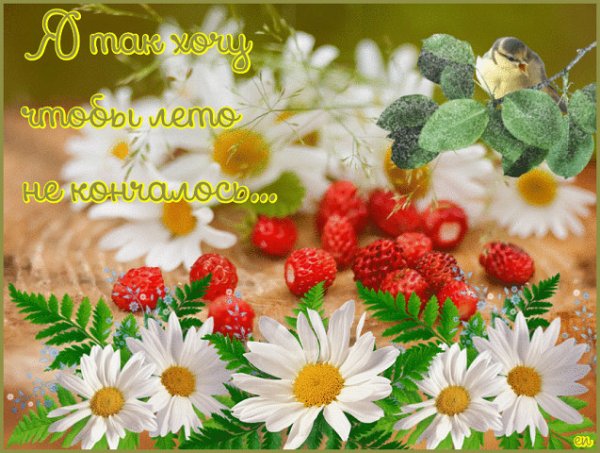 Последний день лета демотиватор