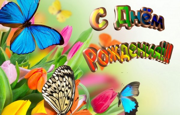 С днём рождения бабочки