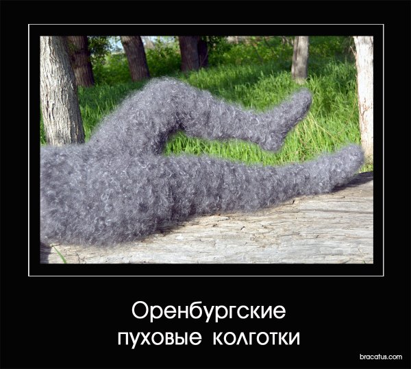 Про Холодное лето прикольные