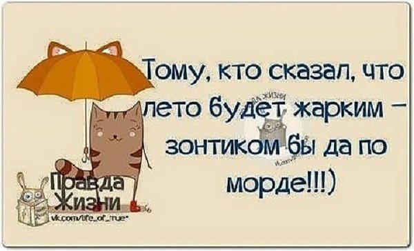 Смешные цитаты про дождь