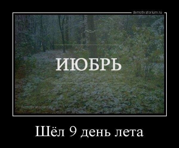 Смешные афоризмы про лето