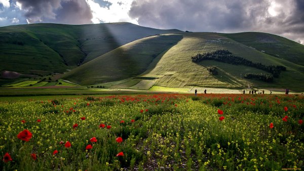 Луга Дагестана Альпийские Дагестана