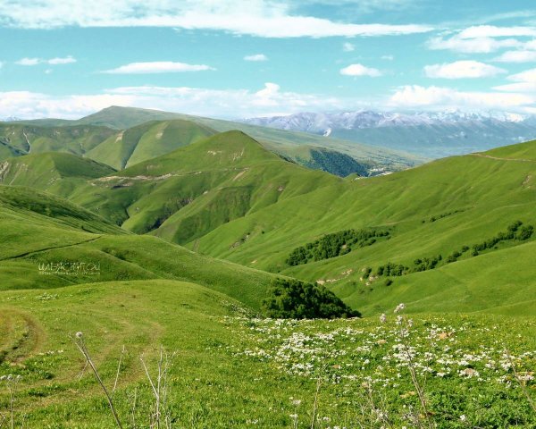 Альпийские Луга Дагестана