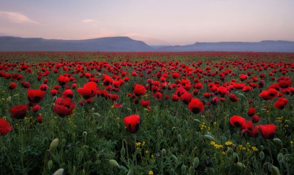 Махачкала и Гуниб Дагестан
