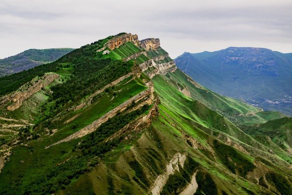 Тебердинский заповедник Альпийские Луга