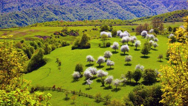 Озеро в Чечне Кезеной